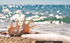 تور دوسر هوایی مشهد به قشم